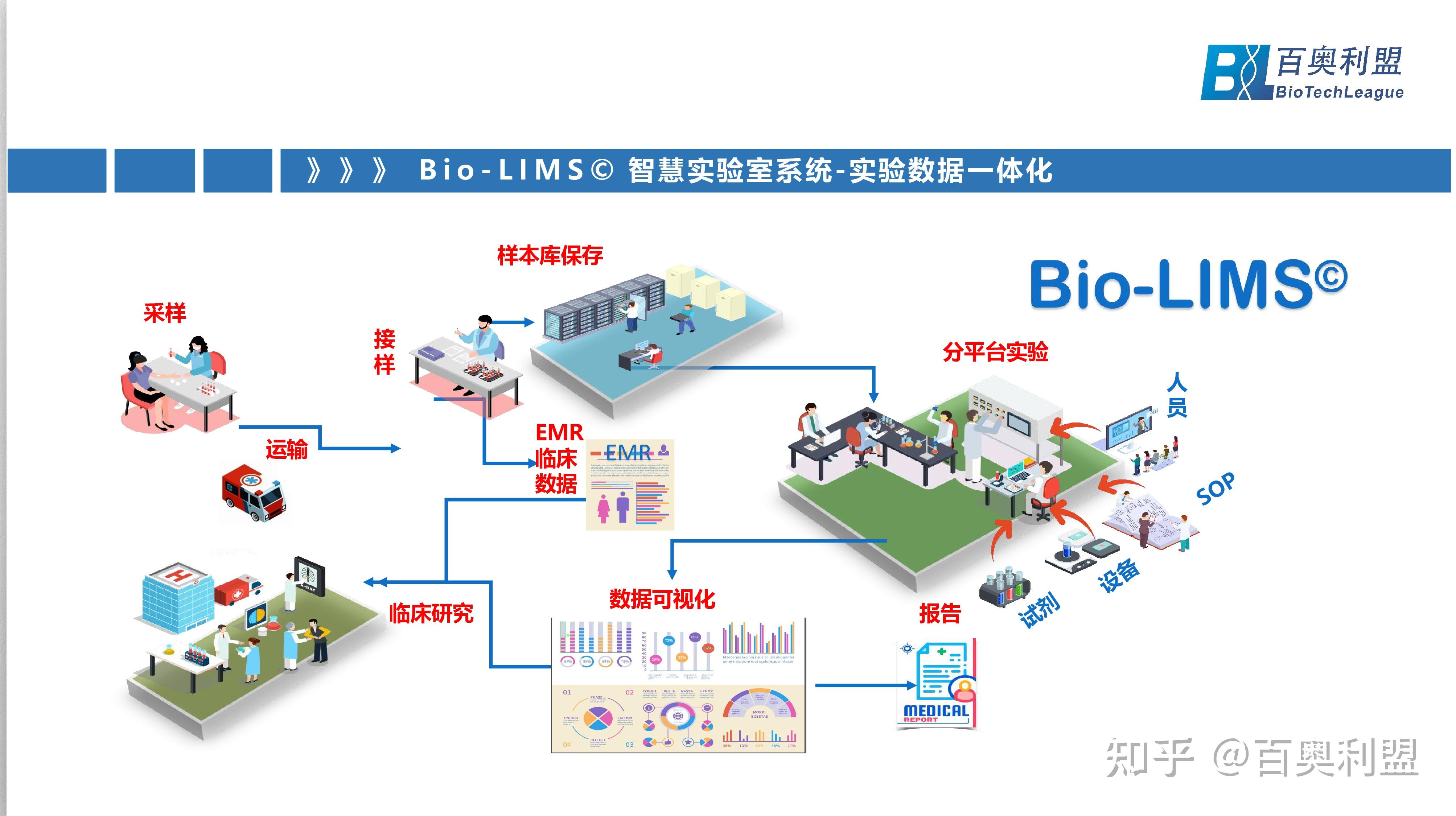 信息化如何影响多边关系的构建